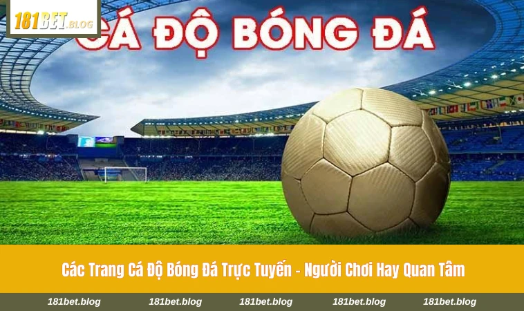 các trang cá độ bóng đá trực tuyến