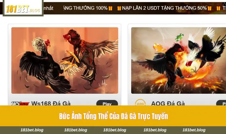 Không khí đấu trường đá gà trực tuyến tại 181BET 