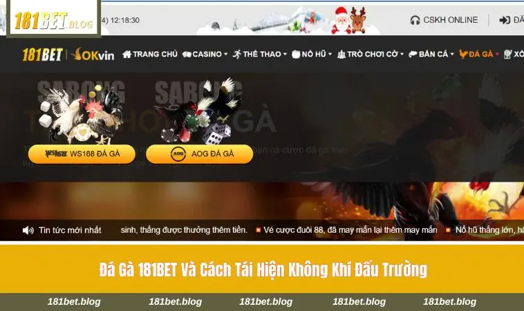 Khoảnh khắc căng thẳng trong trận đấu đá gà online 