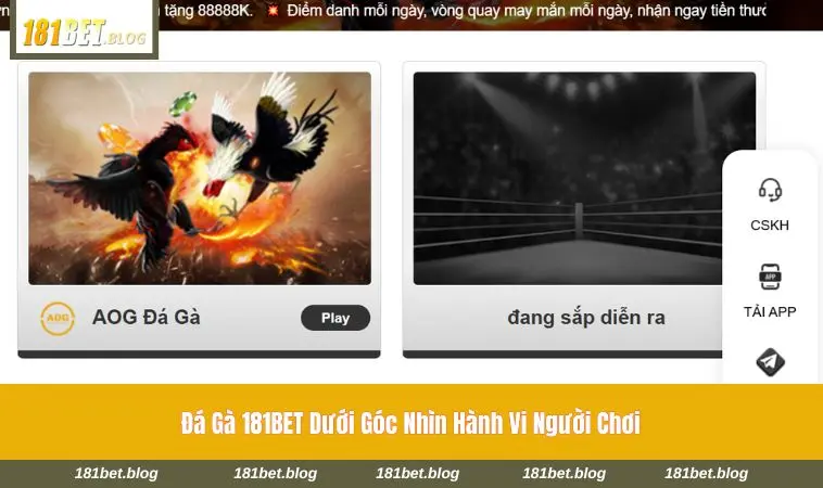 Trải nghiệm theo dõi đá gà trực tuyến chân thực