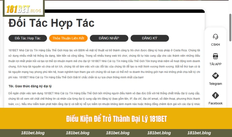 Quy trình đăng ký và xét duyệt đại lý của hệ thống 181BET