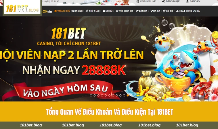 Giao diện mục điều khoản và điều kiện trên hệ thống 181BET