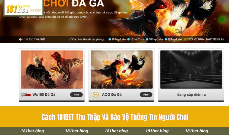 Quá trình mã hóa và bảo vệ dữ liệu người dùng của 181BET