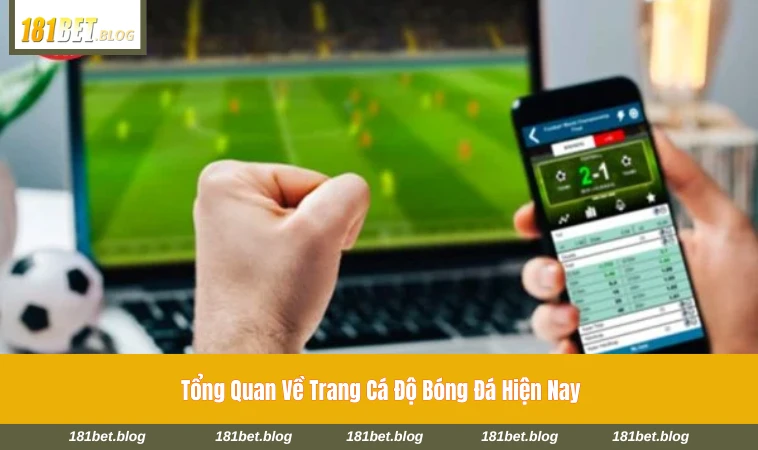 Tổng quan của một trang cá cược bóng đá online với nhiều giải đấu