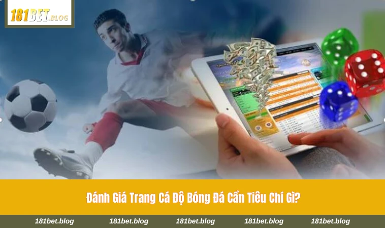 Bảng kèo bóng đá với tỷ lệ rõ ràng, dễ theo dõi