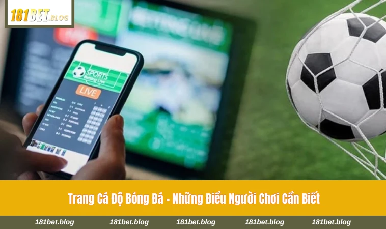 trang cá độ bóng đá